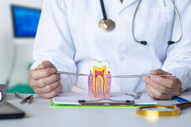 Best Orthodontic Emergency Dentist in Saegertown, PA